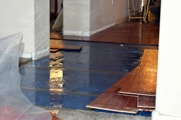 Professional Water Damage Restoration technician working in Iselin, NJ